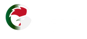 Gamesir Pakistan